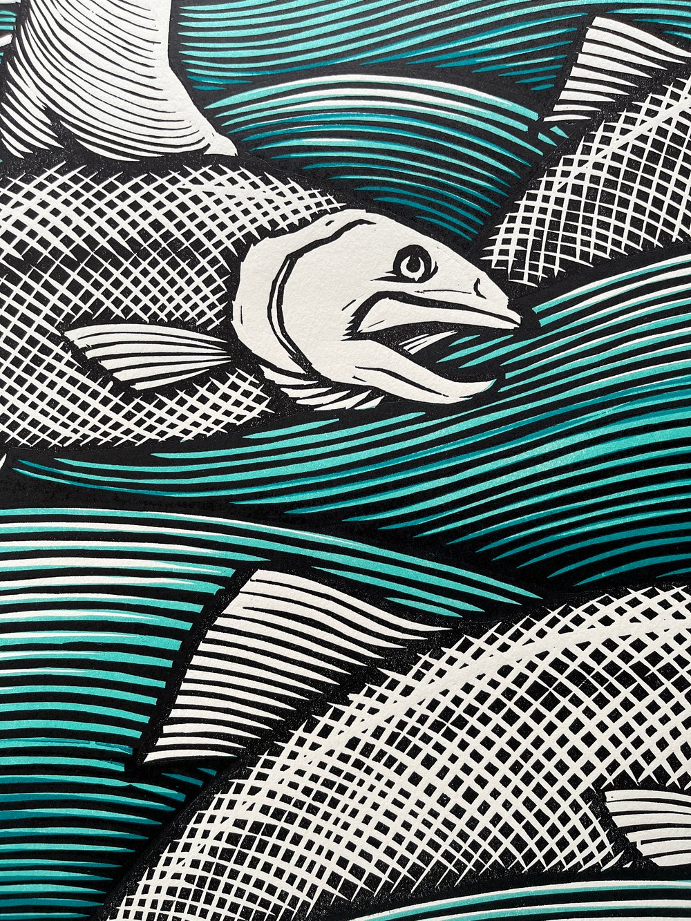 Cross the River On the Backs of the Salmon