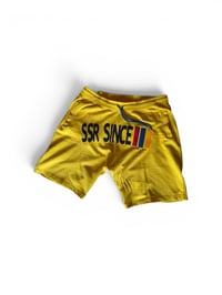Motor Sport Shorts