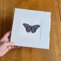 Blue Wave Butterfly - Giclee Print