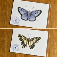 Butterfly Print #3- Various Designs