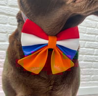 Image 4 of Netherlands Flag Kings Day Bow Tie / Sailor Bow