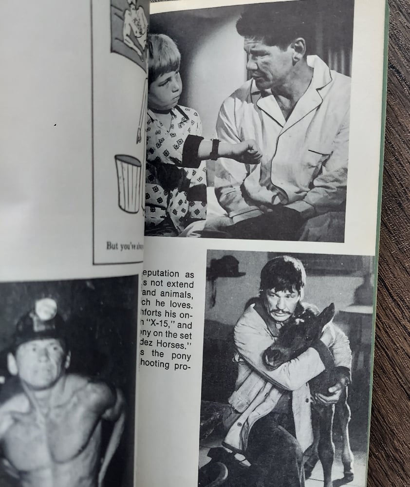 Charles Bronson Superstar, by Steven Whitney