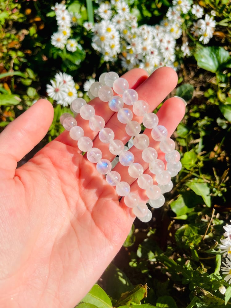 Image of Moonstone bracelet