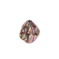 Image 1 of Abalone option 5
