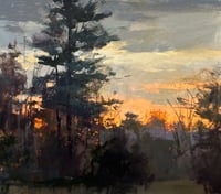 White Pine in Morning Light