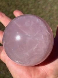 Image 4 of Star Rose Quartz Sphere #2642