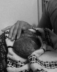 Image 2 of Pet / Companion : Reiki / Animal Communication