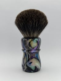 Image 3 of Abalone ‘