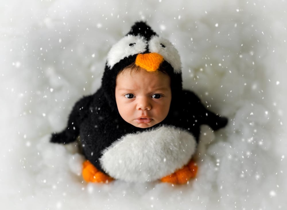 Image of Fluffy Little penguin potato pouch and bonnet
