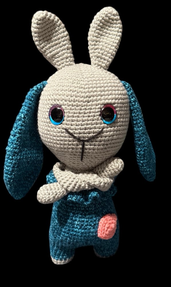 Image of Betty the Long Armed Bunny