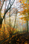 Fog & Sun at Balgay