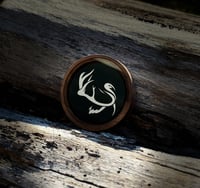 Image 1 of Walnut Glass
