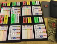 Image 4 of MAJOR INCIDENT NHS TEN SECOND TRIAGE (TST) Kit - Casualty labelling following triage