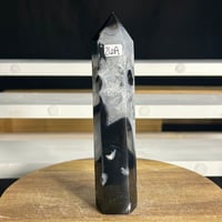 Image 1 of Black Agate Tower (26A)