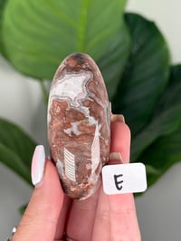 Image 5 of LARGE SANGRIA LACE AGATE SHIVAS
