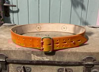 Image 5 of ‘Punjab~Saturn’ Belt