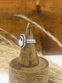 Image 2 of High Plains White Buffalo (Imperfect Edition)