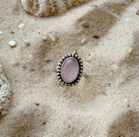 Image 3 of Blushing Tide 