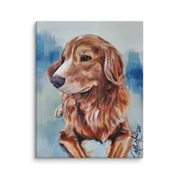 Image 4 of Nova Scotia Retriever