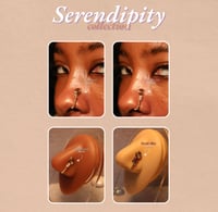 Image 6 of The Serendipity Collection