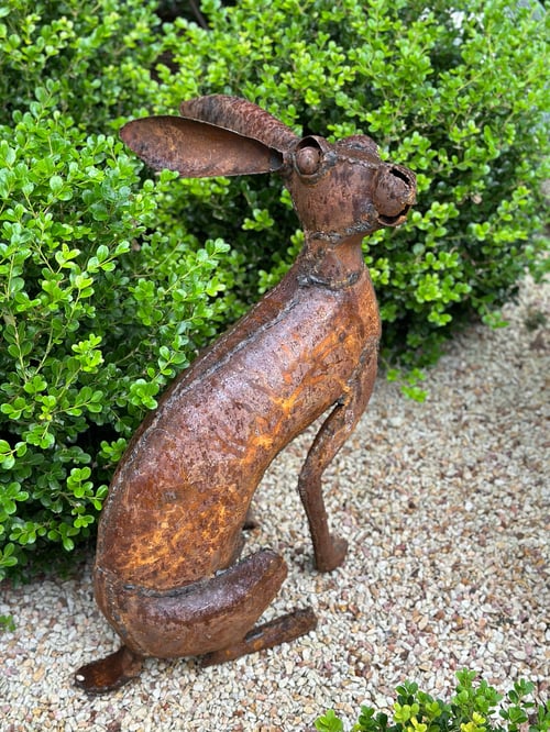 Image of Garden Hare VI 