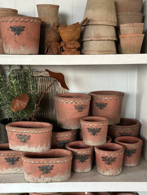 Image of Bee Terracotta Pot Round