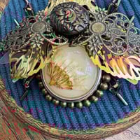 Image 2 of Dried flower beetle (c, 3.5  inches)