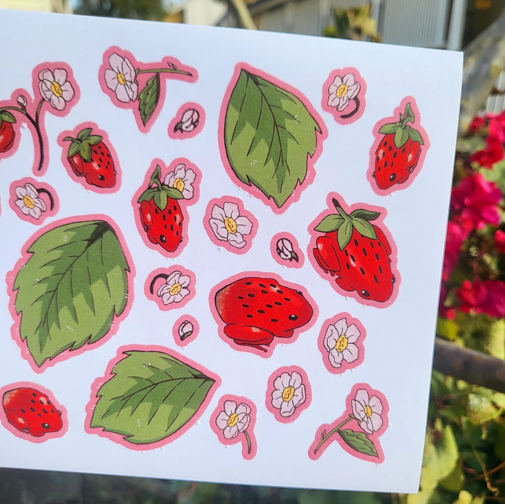 Image of Strawberry frog stickers - C grade 🐸 