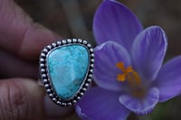 Image 2 of Old Stock Turquoise Butterfly Wide Band | Size 8.5