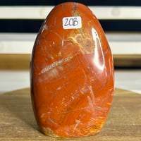 Image 1 of Petrified Wood Freeform (20B)