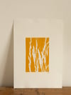 Yellow Grass 2 - Original Botanical Monoprint A4