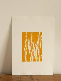 Image 1 of Yellow Grass 2 - Original Botanical Monoprint A4
