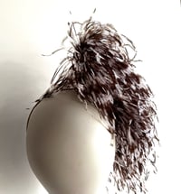 Image 4 of Brown and white ostrich