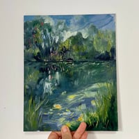 Image 1 of The Inny River 