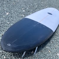 Image 10 of Maluku Flying Frog Black Tail Dip