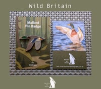 Mallard - #12 - Wild Britain Series