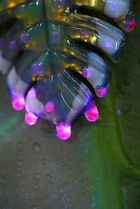 Image 3 of Drippy uv variegated monstera leaf pendant. 🌿💧
