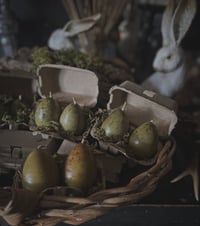 Image 1 of Wild Eggs