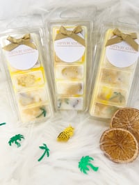 PINA COLADA WAX MELTS