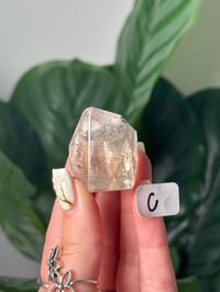 Image 3 of SILVER AND BLACK RUTILE IN QUARTZ GUSHER FREEFORMS -BRAZIL-