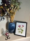 Genuine Morning Glory And Vines Wildflower Art In 8" X 10" Frame (Item# 2021058)