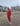 Yezikan Unisex Cherry Red Jogger Sweatsuit