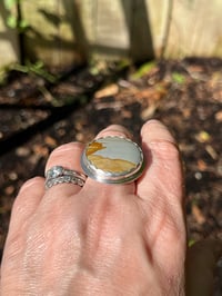 Image 2 of Scenic Jasper Ring