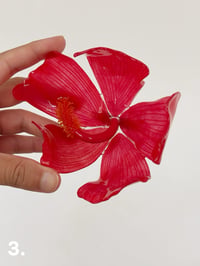 Image 2 of Flor de Maga 2.0 | Hair Clip 3 / broches