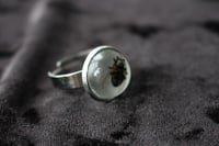 Image 6 of Dead Good dead Fly ring
