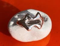 Image 1 of Fougue - Collection Passions