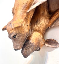 Image 2 of Come Fly with me- Julie Kradel Solo Exhibit