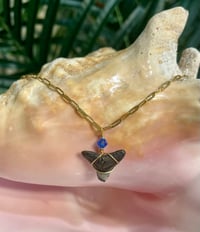 Image 1 of Shark Tooth Necklace ST101
