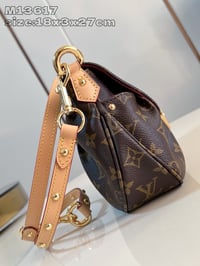 Image 5 of ĻV Sunset Bag