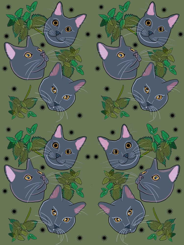 Image of Marshall Cat toy